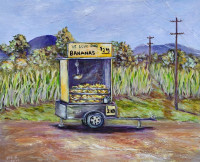 /album/photo-gallery-abstract-art/fnq-bananas-jpg/